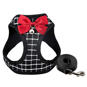 Harness and Leash Set with Bell and Bow-Knot Decoration for Kitten, Cat, Puppy and Small Dog