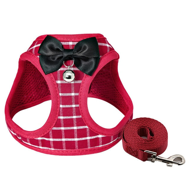 Harness and Leash Set with Bell and Bow-Knot Decoration for Kitten, Cat, Puppy and Small Dog