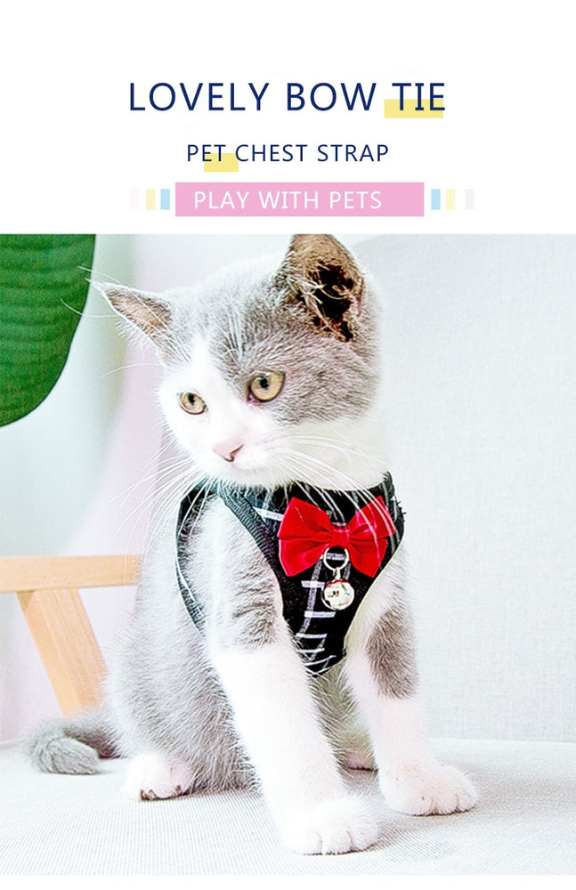 Harness and Leash Set with Bell and Bow-Knot Decoration for Kitten, Cat, Puppy and Small Dog