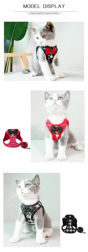 Harness and Leash Set with Bell and Bow-Knot Decoration for Kitten, Cat, Puppy and Small Dog