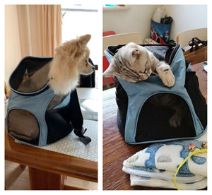 Foldable Pet Small Dog Cat Carrier Backpack