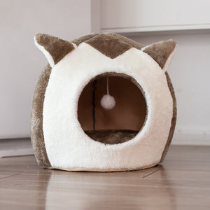 Pets Cat Dog Puppy Kitten House