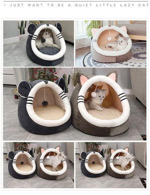 Pets Cat Dog Puppy Kitten House