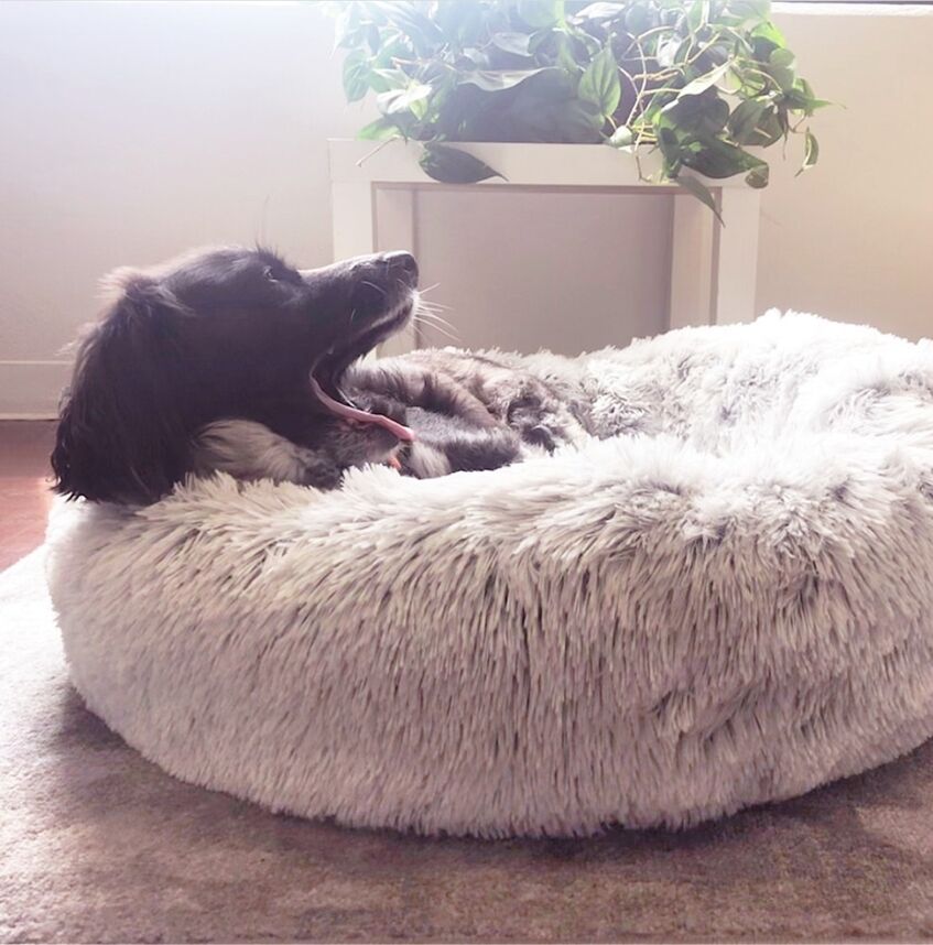 Pet Bed Fluffy Donut Round Sofa for Small, Medium, Large Dogs and Cats