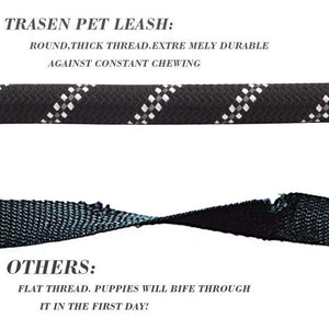 Heavy Duty Dog Leash 5' (1.5m) Reflective Dog Leash with Padded Handle for Medium Large Dog