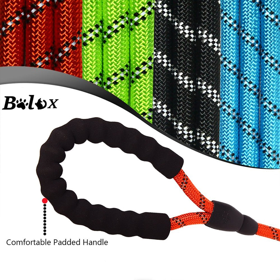 Heavy Duty Dog Leash 5' (1.5m) Reflective Dog Leash with Padded Handle for Medium Large Dog