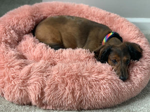 Pet Bed Fluffy Donut Round Sofa for Small, Medium, Large Dogs and Cats