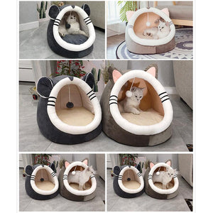 Pets Cat Dog Puppy Kitten House