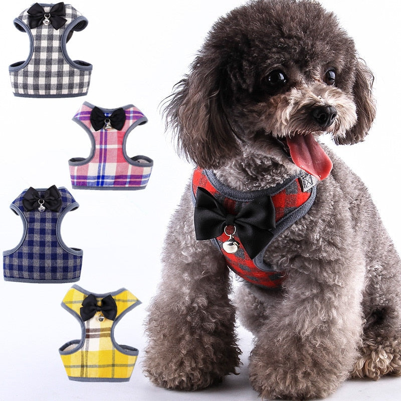 Harness and Leash Set with Bell and Bow-Knot Decoration for Kitten, Cat, Puppy and Small Dog