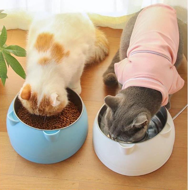 Pet Cat Feeder Bowl