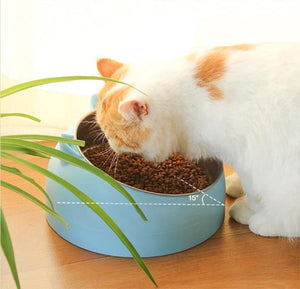 Pet Cat Feeder Bowl