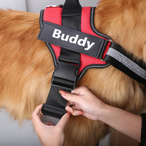 Personalized (Custom Name and Contact) Patch No-Pull Reflective Adjustable Dog Vest Harness for Small to Large Dogs