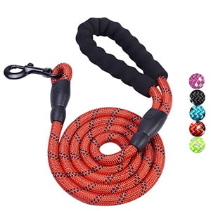 Heavy Duty Dog Leash 5' (1.5m) Reflective Dog Leash with Padded Handle for Medium Large Dog