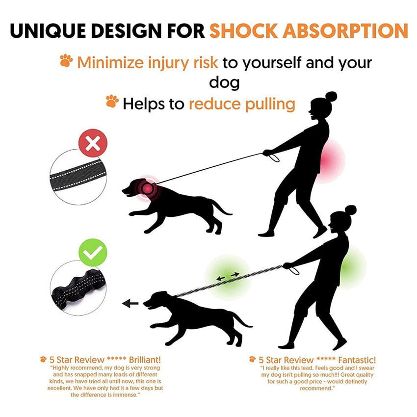 Dog Leash Reflective Rope with Padded Handle and Anti-Pull Mechanism