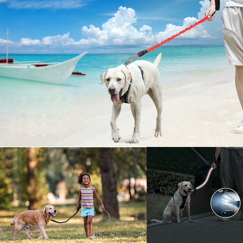 Dog Leash Reflective Rope with Padded Handle and Anti-Pull Mechanism