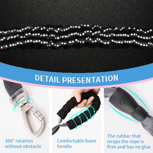 Dog Leash Reflective Rope with Padded Handle and Anti-Pull Mechanism