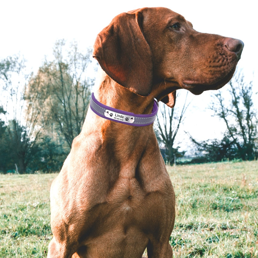 Reflective Personalized Dog Leather Collar Adjustable with Pet Name and Phone Number