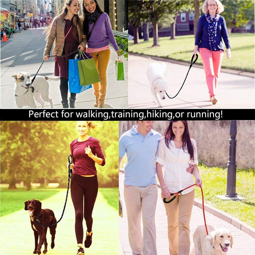 Heavy Duty Dog Leash 5' (1.5m) Reflective Dog Leash with Padded Handle for Medium Large Dog