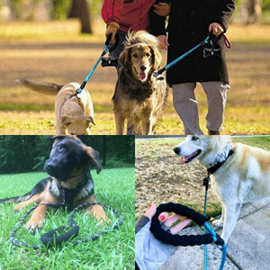 Heavy Duty Dog Leash 5' (1.5m) Reflective Dog Leash with Padded Handle for Medium Large Dog